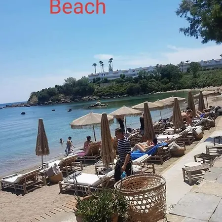 - Comfy Center Rodos