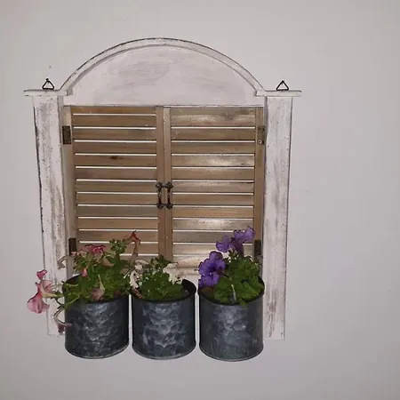 - Comfy Center Rodos