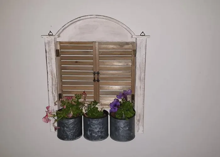 - Comfy Center Rodos